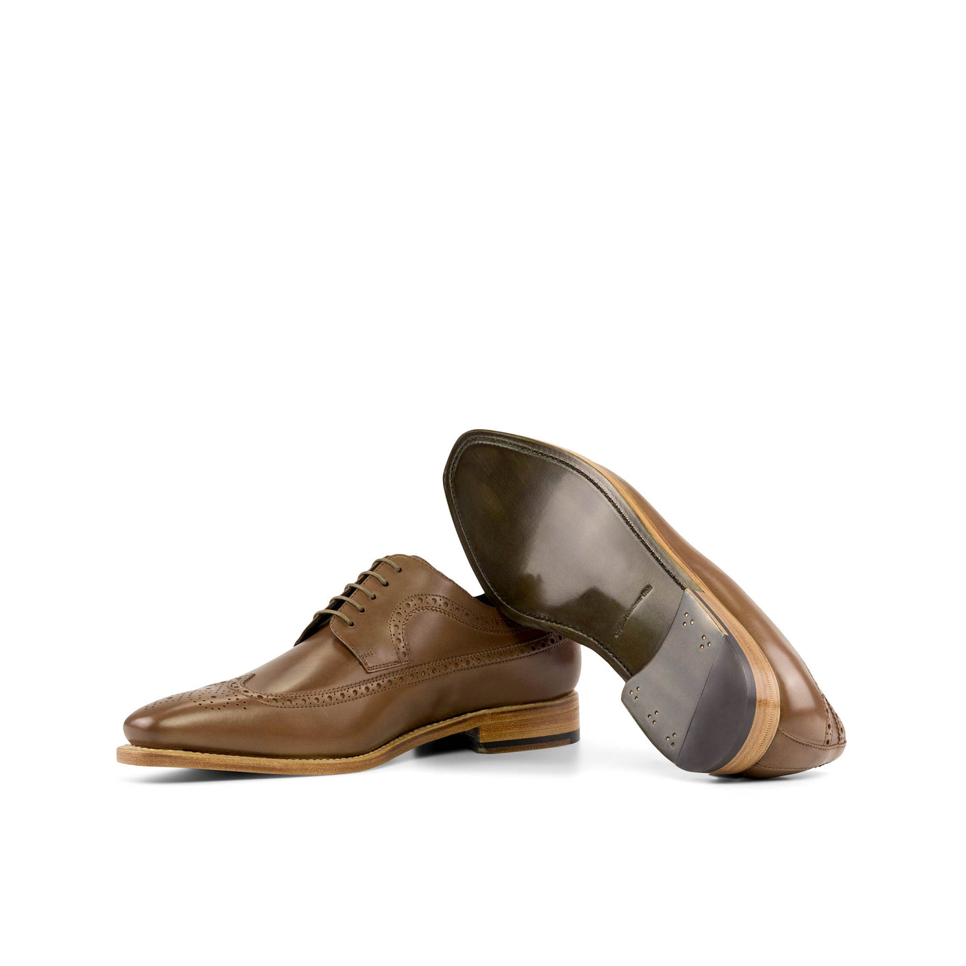 Aristocrat Longwing Blucher